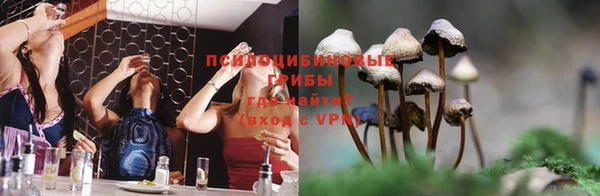 гидра Балахна