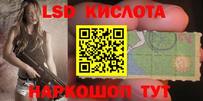 прущие крисы Кингисепп