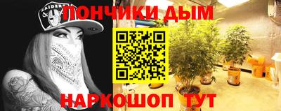 дмт Кимры