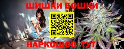 прущие крисы Кингисепп