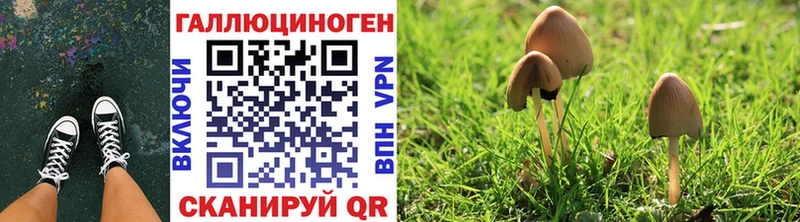 Псилоцибиновые грибы Magic Shrooms Кувандык