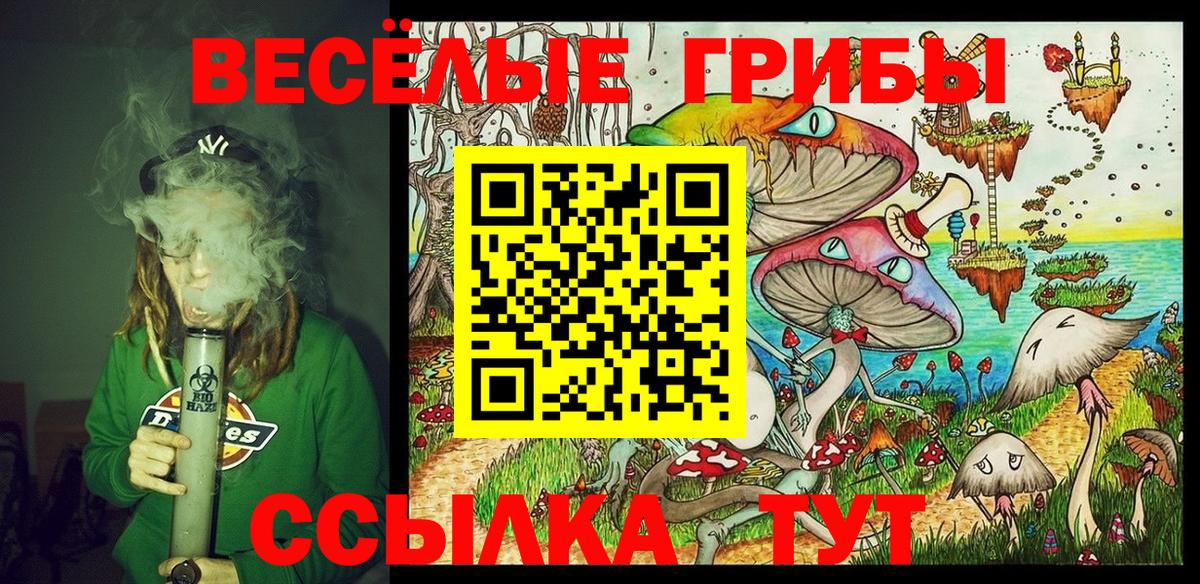 Псилоцибиновые грибы Psilocybe  Вход с VPN  Галлюциногенные грибы мухоморы  Кувандык 