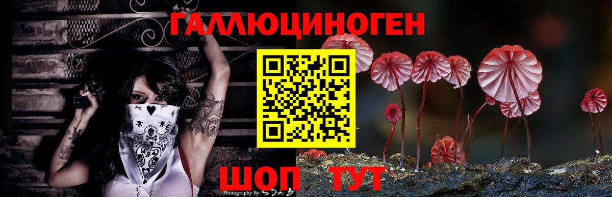 Псилоцибиновые грибы Cubensis Кувандык